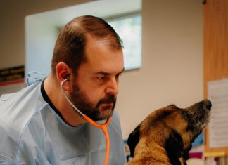 Coronado Gives strengthens PAWS of Coronado’s support for local animals