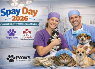 PAWS of Coronado raises $1,000 to support Spay Day 2026 and reduce local pet overpopulation