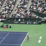 carlos_alcaraz_tennis