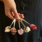 salt and straw samples