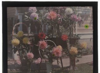 Rooted in history: Celebrating a century of the Coronado Flower Show