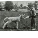 3.George at age three