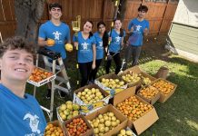 Coronado students donate fresh fruit to local food pantry