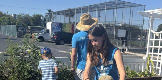 Emerald Keepers camps introduce children to nature, environment