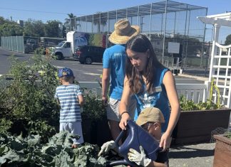 Emerald Keepers camps introduce children to nature, environment