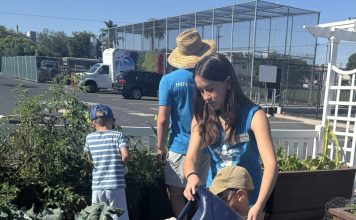 Emerald Keepers camps introduce children to nature, environment