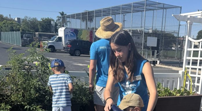 Emerald Keepers camps introduce children to nature, environment