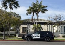 Coronado Crime Report: DUI, elder abuse, grand theft