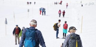 Image by Julita from Pixabay.