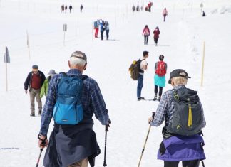 Image by Julita from Pixabay.