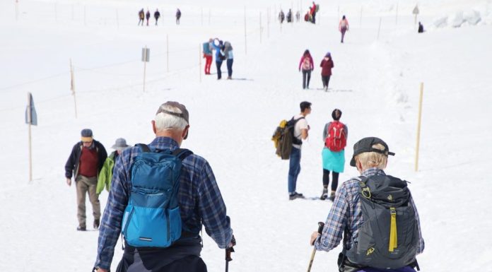 Image by Julita from Pixabay.