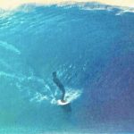 Dave Smith
