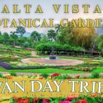 Alta Vista