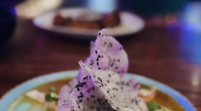 Cloak and Petal: Something special awaits in Little Italy