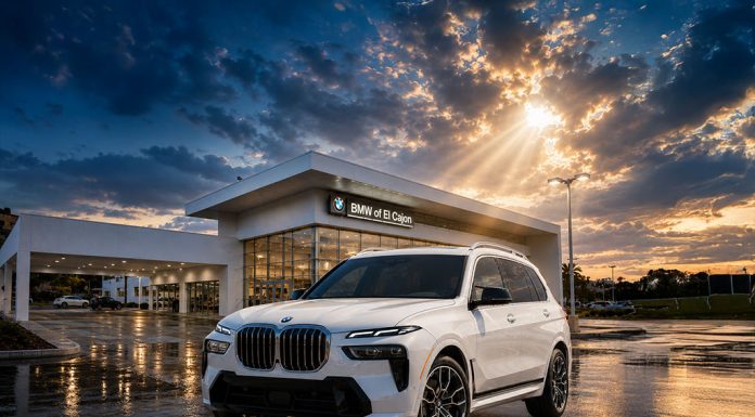 finding your perfect BMW match