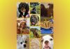 PAWS of Coronado opens Animal Mayor Race