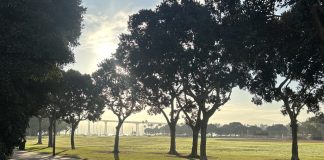 Built for Play: The history of Coronado’s Parks and Recreation