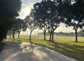 Built for Play: The history of Coronado’s Parks and Recreation