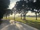 Built for Play: The history of Coronado’s Parks and Recreation