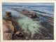 Watercolor classes with Ed Roeder