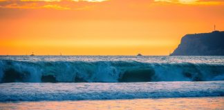 Coronado ocean water and air quality report – June 25-July 1, 2026