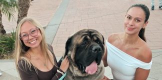 Donut holes, drool rags and wet dog zoomies: Q & A with Sir Winston, Coronado’s Animal Mayor