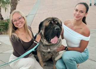 Donut holes, drool rags and wet dog zoomies: Q & A with Sir Winston, Coronado’s Animal Mayor