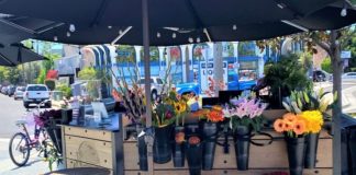 City ends relationship with Coronado Flower Lady; Iconic flower shop to leave Rotary Plaza