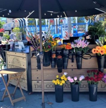 City ends relationship with Coronado Flower Lady; Iconic flower shop to leave Rotary Plaza
