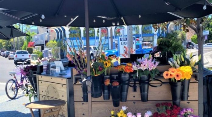 City ends relationship with Coronado Flower Lady; Iconic flower shop to leave Rotary Plaza