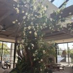By the Sea tree