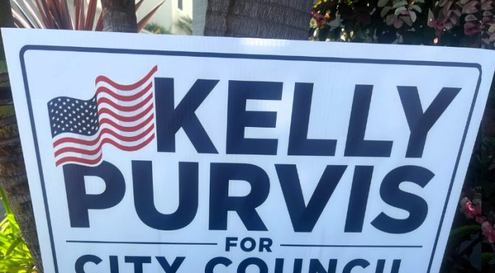 Kelly Purvis: A path to nonpartisan politics