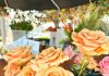 City Manager says Coronado has had a “difficult past” with Coronado Flower Lady