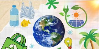 City Council candidates address environmental issues, Emerald Keepers Q&A
