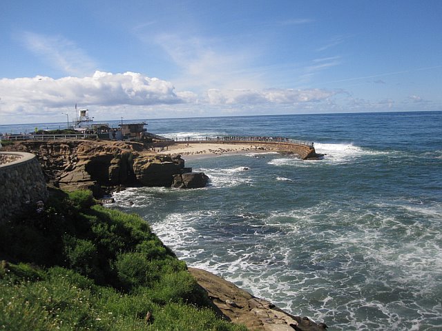 La Jolla Seals