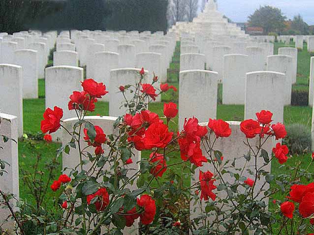 Memorial Day & meaning of Buddy Poppies - The Westside Express
