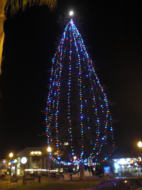 Christmas Tree in Rotary Park